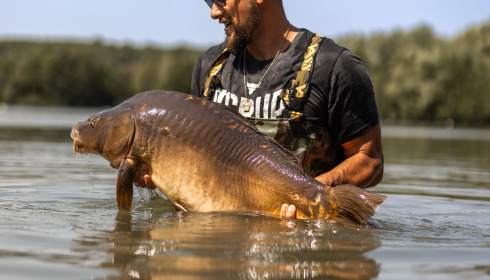 A carp from Lepinet South, Aug 2025