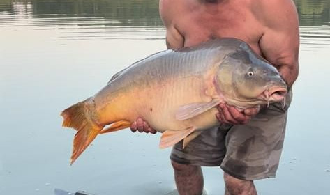 A carp from Lepinet South, Sep 2022