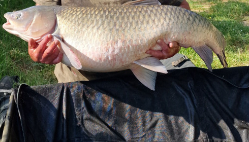 A 43 lb 12 oz fish from Lepinet South, May 2023