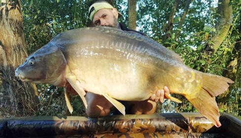 A carp from Lepinet South, Sep 2022