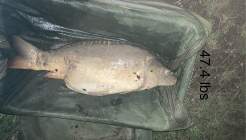 A 47 lb 4 oz fish from Lepinet South, Mirror, largest this trip, Apr 2025