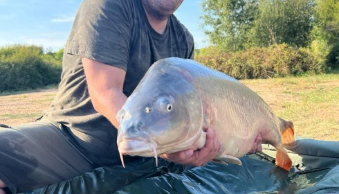 A carp from Lepinet South, Sep 2022