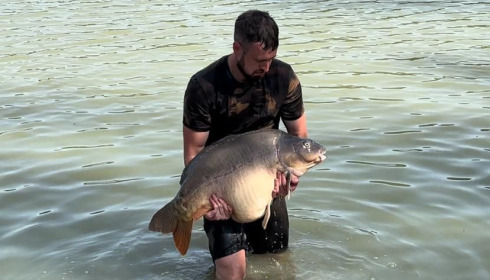 A carp from Lepinet South, Sep 2022