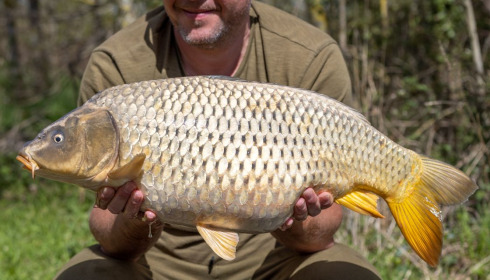A carp from Lepinet South, Apr 2023