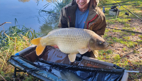 A carp from Lillybelle, Oct 2023