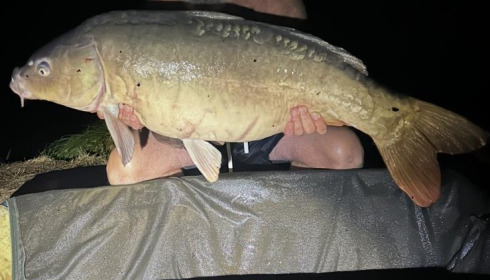 A 35 lb 10 oz carp from Lillybelle, Curtis Morris, Aug 2025