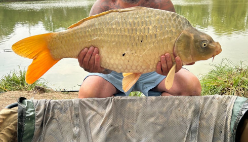 A 23 lb 13 oz carp from Lillybelle, Curtis Morris, Aug 2025