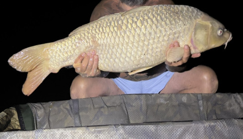 A 30 lb carp from Lillybelle, Curtis Morris, Aug 2025