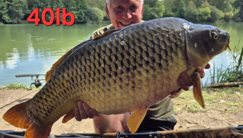 A fish from Lillybelle, Aug 2025