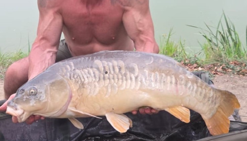 A 35 lb carp from Lillybelle, Dean Mulligan, Aug 2025