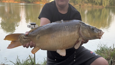 A carp from Lillybelle, Obi Morris, Aug 2025