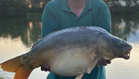A 39 lb 12 oz fish from Lillybelle, Matt Ship, Sep 2023