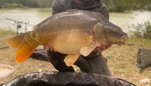 A fish from Lillypool, Oct 2023