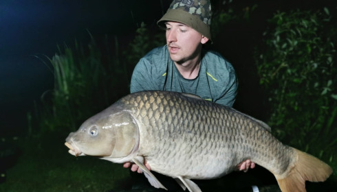 A fish from Lillypool, Jun 2024