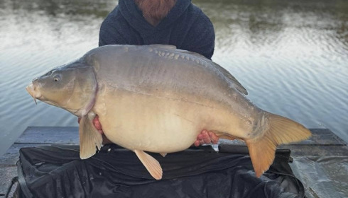 A carp from Lillypool, Apr 2025