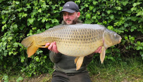A carp from Lillypool, Apr 2024