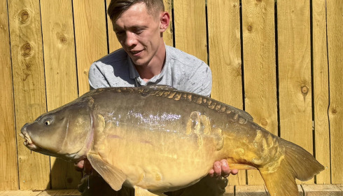 A carp from Lillypool, Mar 2025