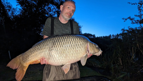 A fish from Lillypool, Sep 2023