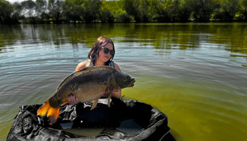A carp from Lillypool, Apr 2025