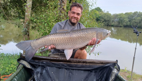 A carp from Lillypool, Jun 2025