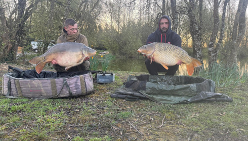 A carp from Lillypool, Mar 2025