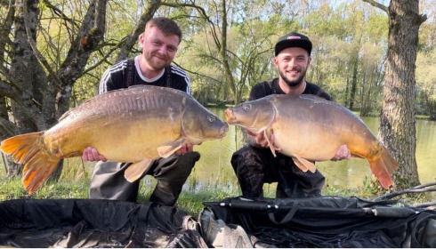 A carp from Lillypool, Apr 2024