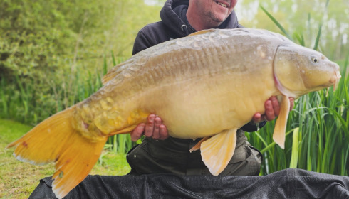 A 29 lb fish from Lillypool, Andy, Apr 2024