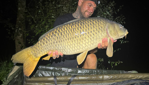 A carp from Lillypool, Jun 2025