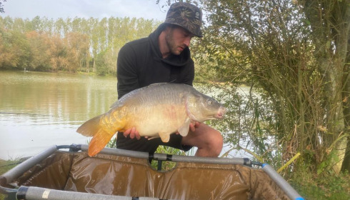 A fish from Lillypool, Oct 2023