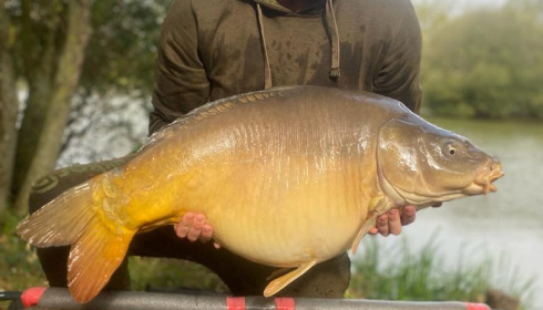 A fish from Lillypool, Oct 2023