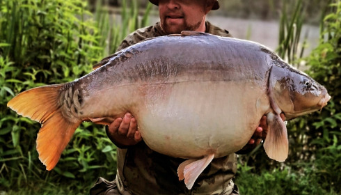 A fish from Lillypool, Jun 2024