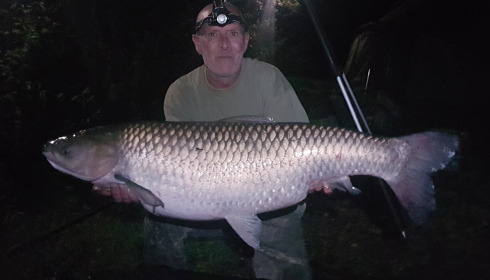 A fish from Lillypool, Jul 2024