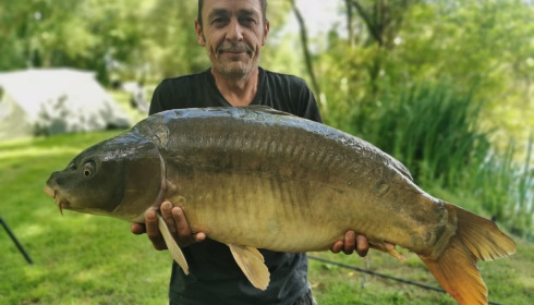A carp from Lillypool, Jun 2024