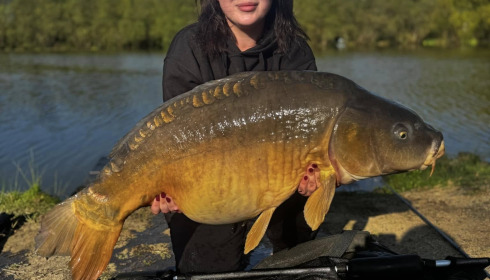 A carp from Lillypool, Apr 2025