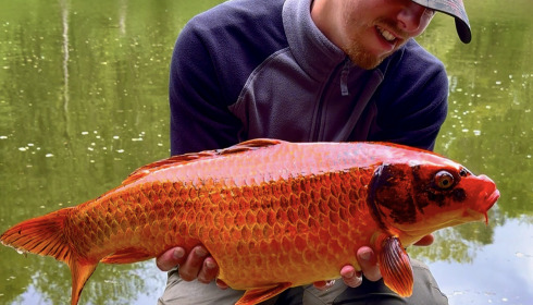 A fish from Linstant, Didn’t weigh, Apr 2025