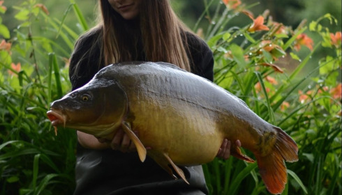 A carp from Linstant, Jun 2024