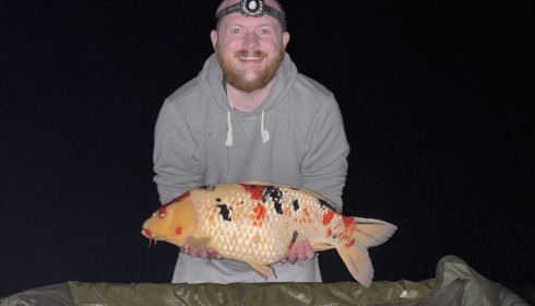 A fish from Linstant, Koi, Apr 2024