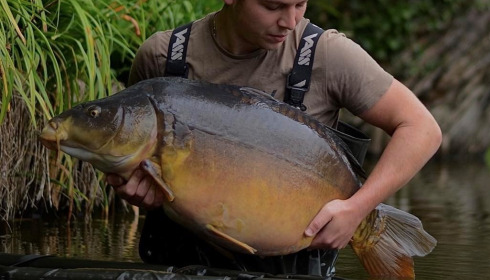 A carp from Linstant, Jun 2024