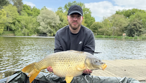 A fish from Linstant, Apr 2025