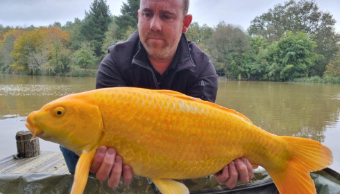A carp from Linstant, Oct 2023