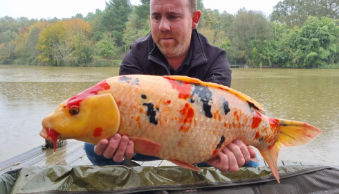 A carp from Linstant, Oct 2023