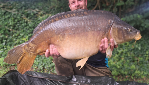 A 42 lb 3 oz carp from Linstant, 42lb mirror carp, Jul 2024
