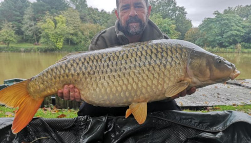 A carp from Linstant, Nov 2024