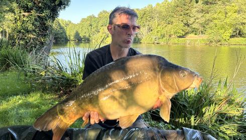 A carp from Linstant, Aug 2024