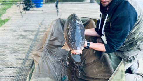 A 42 lb 3 oz carp from Linstant, Jonathan Tozer, Aug 2024