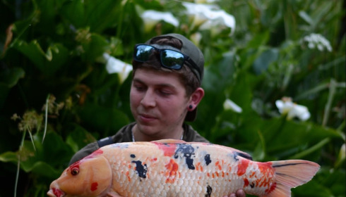 A carp from Linstant, Jun 2024