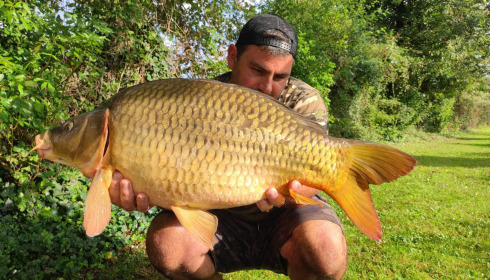 A carp from Linstant, Aug 2023
