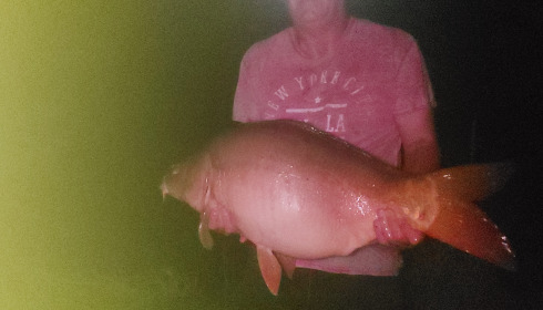A 38 lb fish from Maniere, Aug 2024