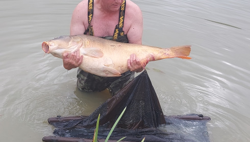 A fish from Maniere, One of the 50tes, Aug 2024
