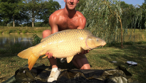 A carp from Maniere, Nov 2023